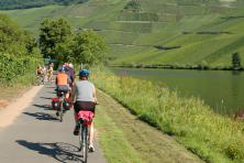 Moselle with the MS Patria - Moselle Cycle Path