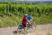 Palatinate & Baden by Boat & Bike - Cyclist