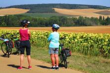 Boat & bike vacation in Burgundy - Cyclist